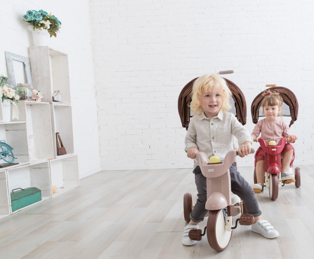 Iimo 3-In-1 Foldable Tricycle With Canopy image 20