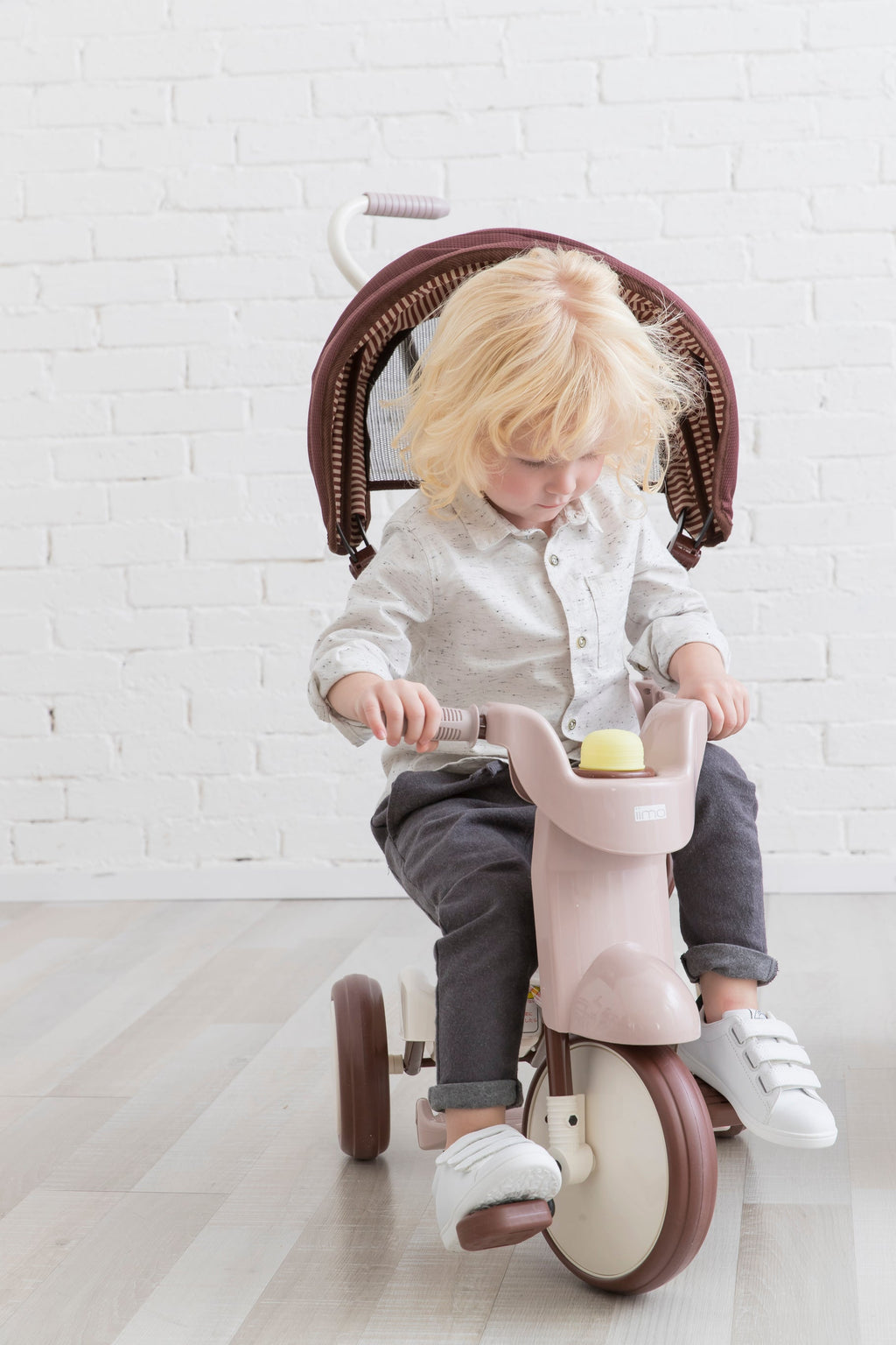 Iimo 3-In-1 Foldable Tricycle With Canopy image 27