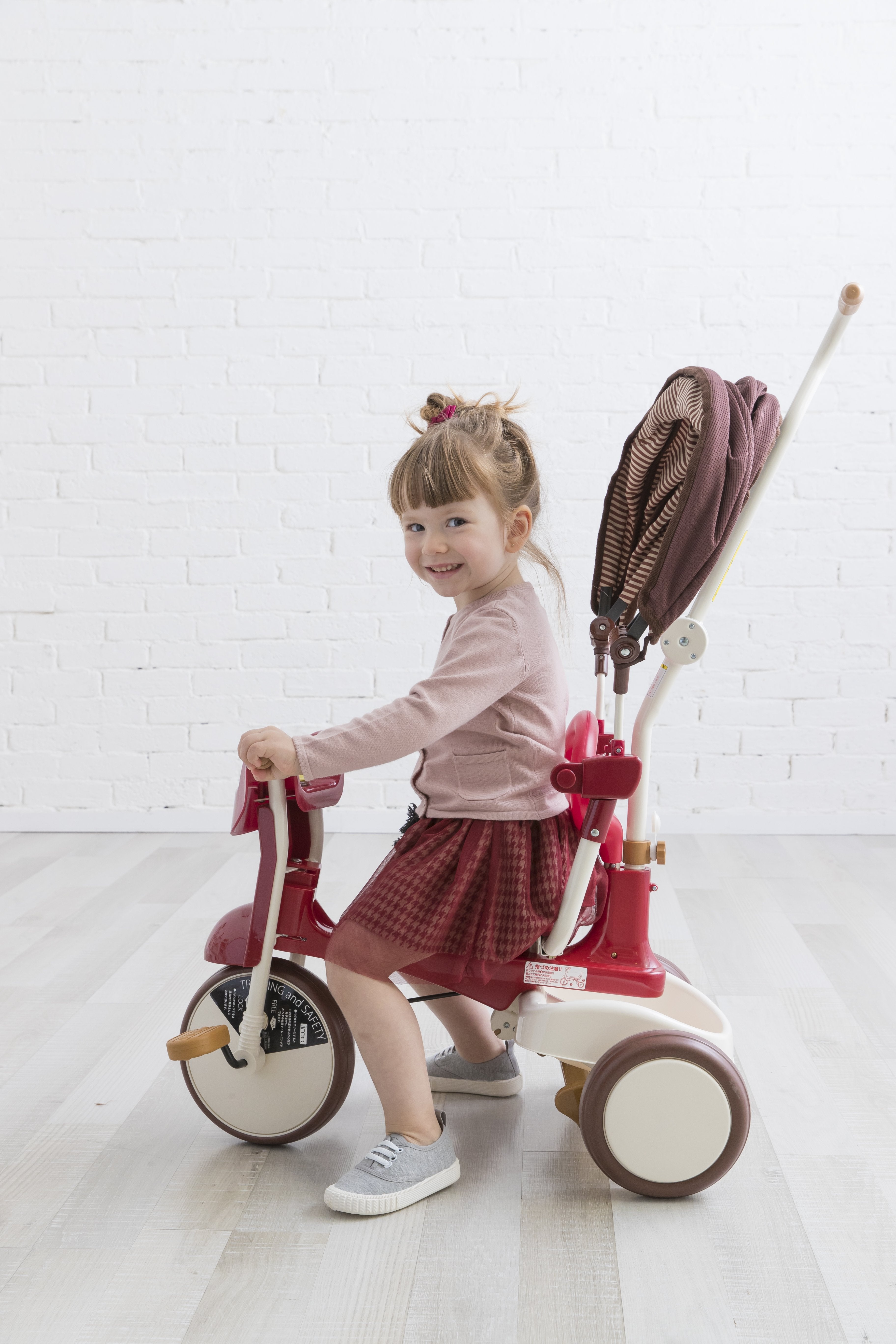 Iimo 3-In-1 Foldable Tricycle With Canopy image 9